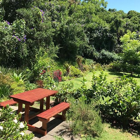 קניסנה Loeriewood Garden Apartment, Hunters Home מראה חיצוני תמונה
