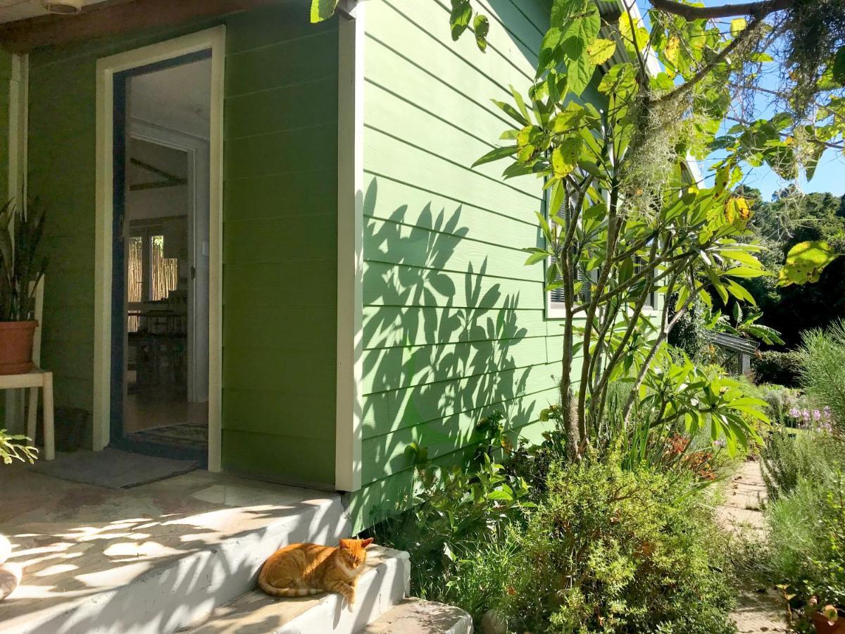 קניסנה Loeriewood Garden Apartment, Hunters Home מראה חיצוני תמונה